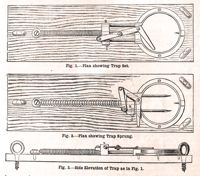 Issue No. 71 - Published July 26, 1890 7
