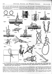 WORK No. 117- Published June 13, 1891 11