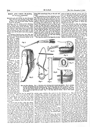 WORK No. 194 - Published December 3 1892  7